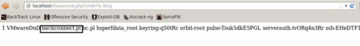 Screenshot of code confirming backconnect access.