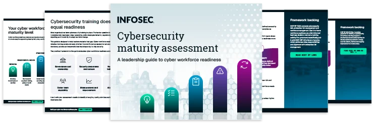 Cybersecurity maturity assessment